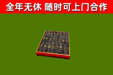 南朗镇回收海参